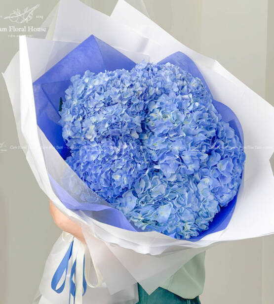 Bó hoa cẩm tú cầu xanh dương khổng lồ 2