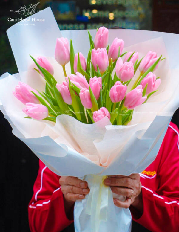 bó hoa tulip hồng